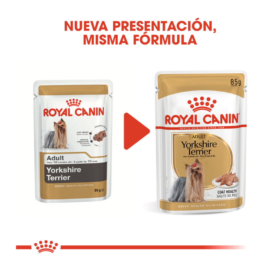 85 g Royal Canin Yorkshire Terrier saquetas para c&atilde;es , , large Imagem n&uacute;mero 3